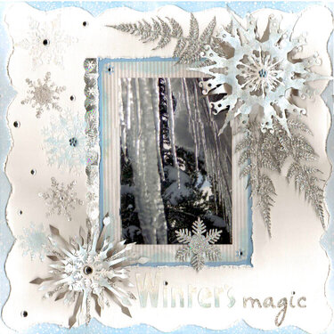 Winter&#039;s magic