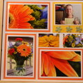 Happy Birthday and One Week Flowers