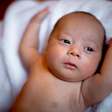 Newborn Session