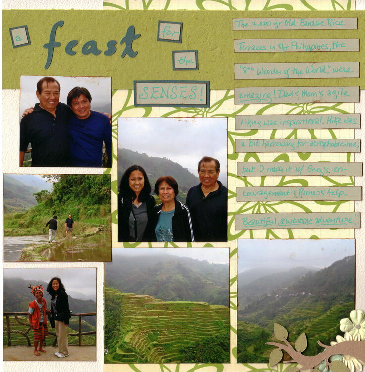 Rice Terraces: A Feast for the Senses (right side) - SHCG &quot;Grocery List: All Tied Up&quot; Challenge