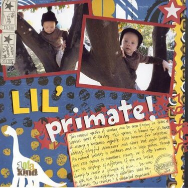Lil&#039; Primate