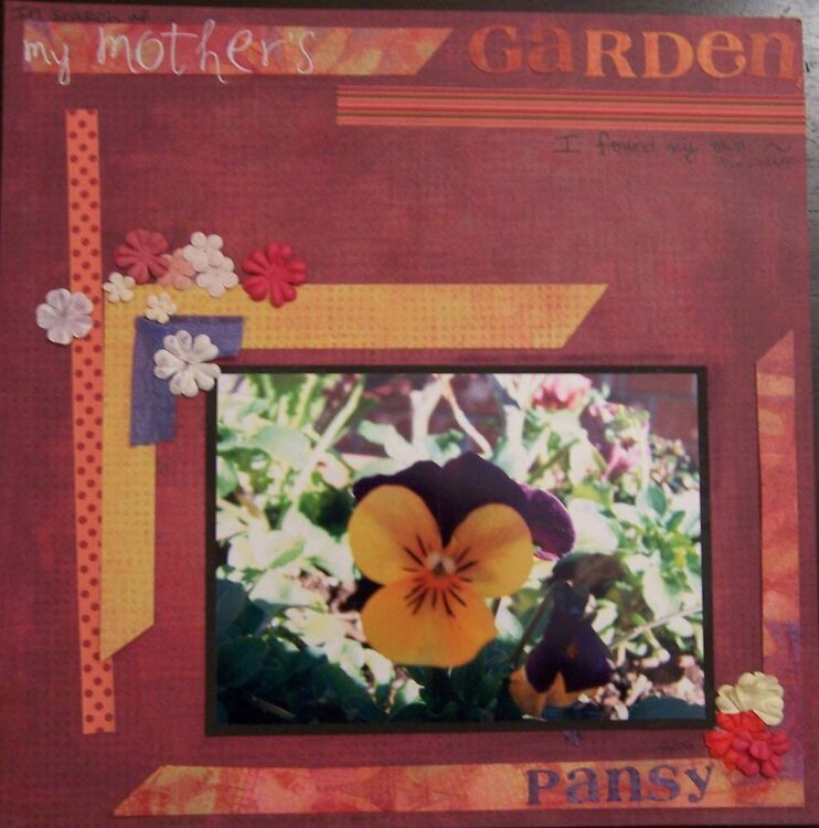 my mother&#039;s garden [pansy]