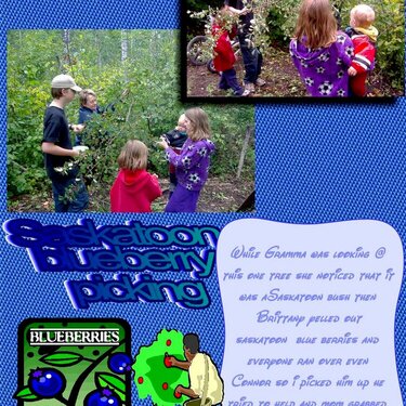 Saskatoon blueberry picking