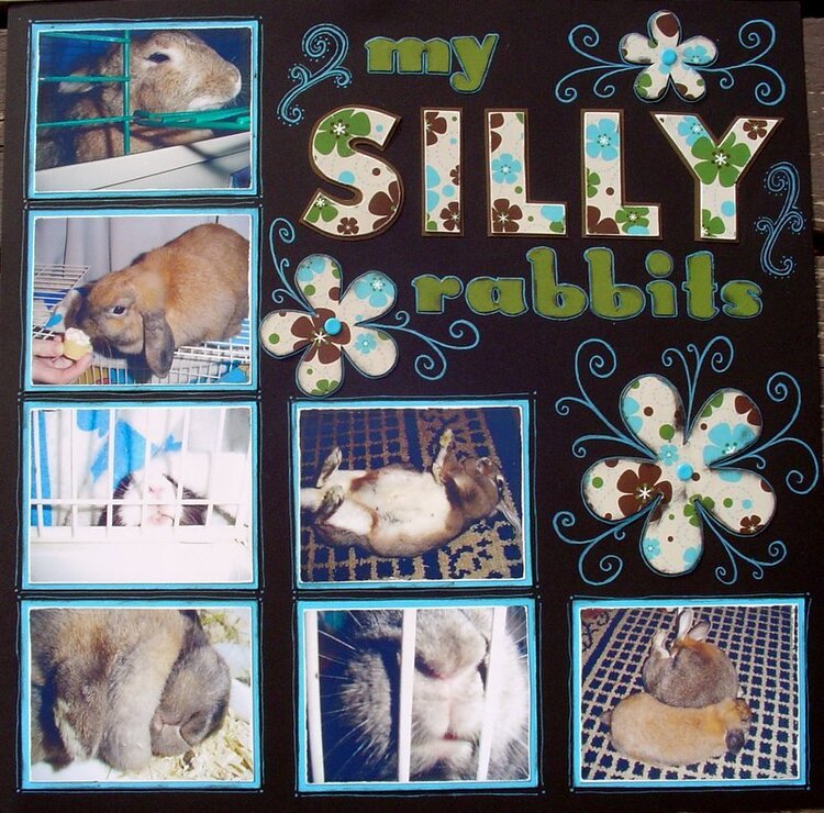 my silly rabbits