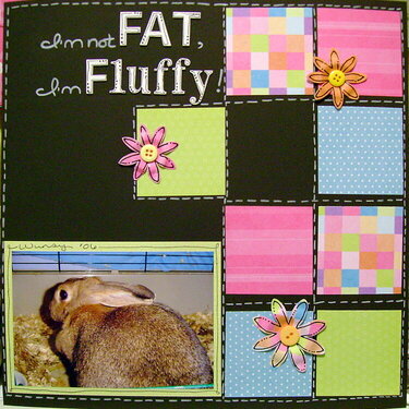 I&#039;m not fat, I&#039;m fluffy!