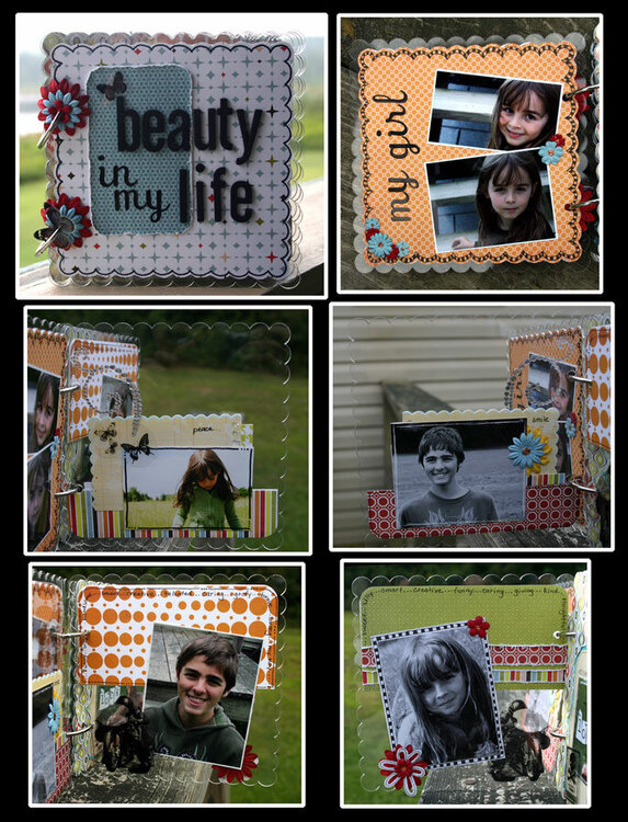 the beauty in my life~hybrid acrylic album 1st set of pgs