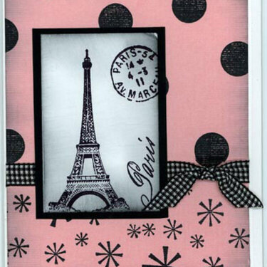 Pink Paris - Anna Wight