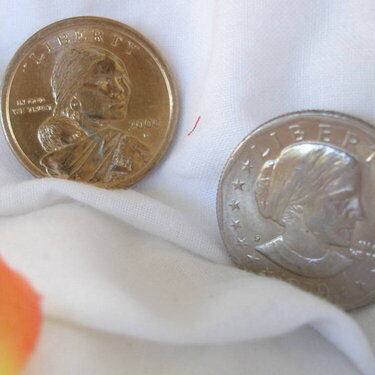 ~*~August Photo Challenge~*~ A Susan B. Anthony coin/ Currency with a woman