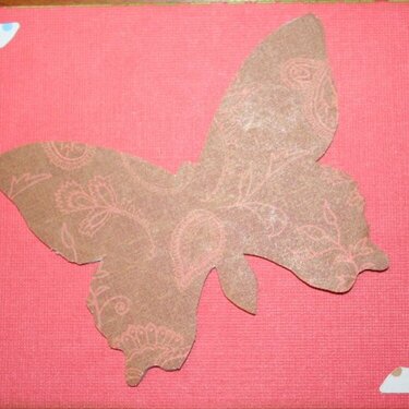 Blank Butterfly Card