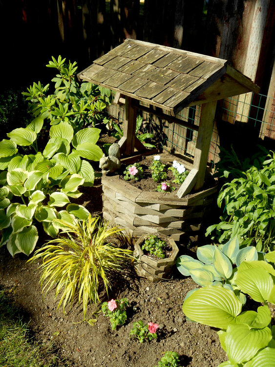 Garden and bedding plants on June 4th