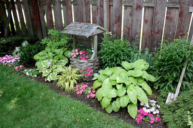 Garden and bedding plants on July 4th