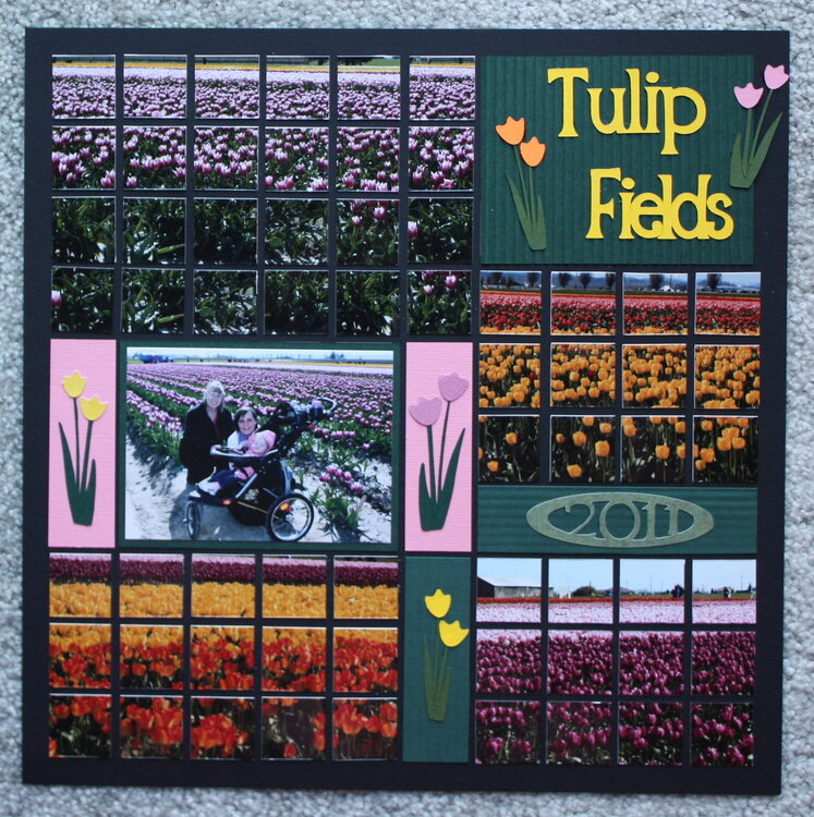 Tulip Fields Mosaic Layout
