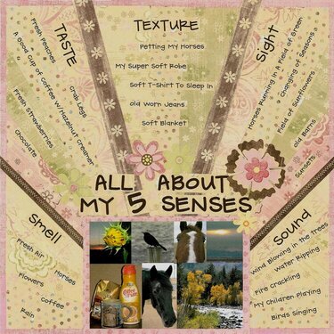 All About My 5 Senses
