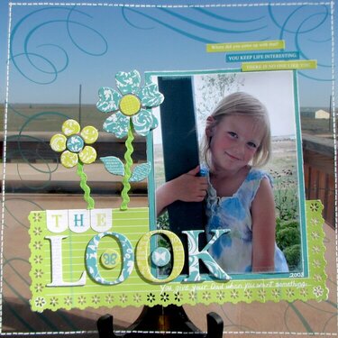 Transparency LO --The Look