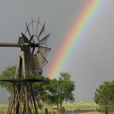 rainbow/windmill