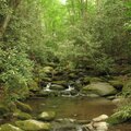 Smokey Mountain Memories