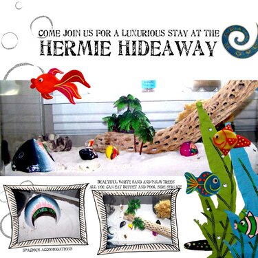 Hermie Hideaway