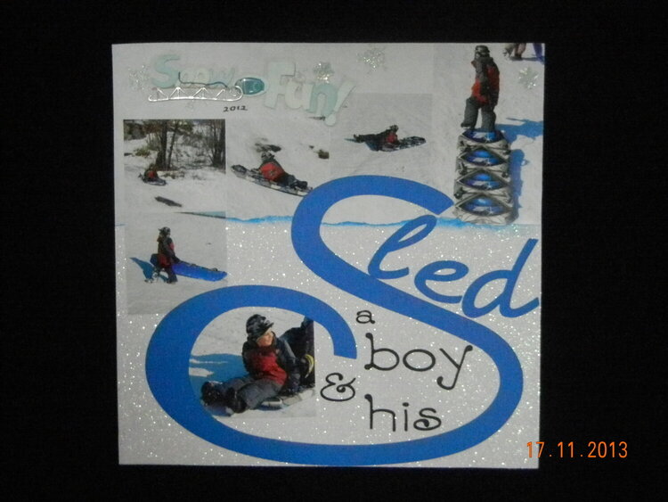 A boy &amp; his sled