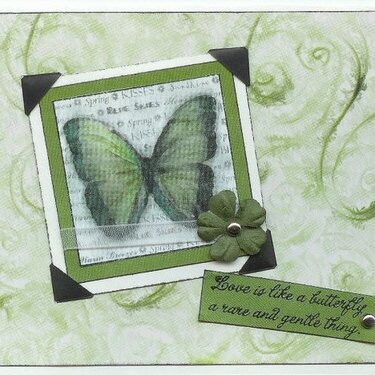 butterfly card