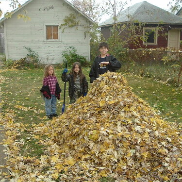 The big leaf pile