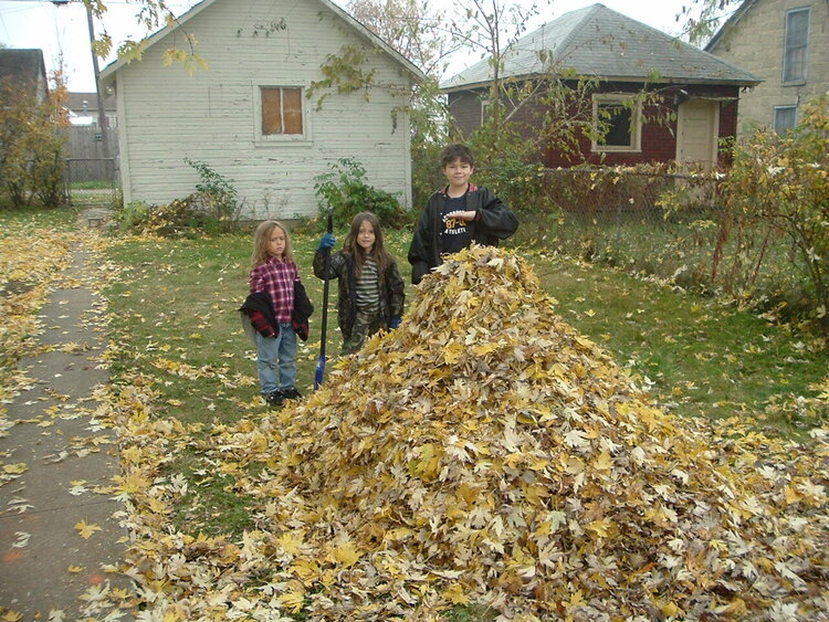 The big leaf pile
