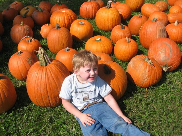 first pumpkin pics