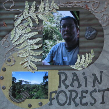 rainforest left