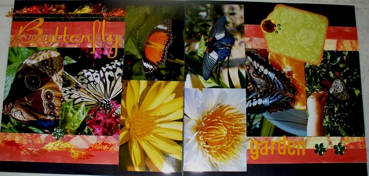Butterfly Garden (Aidan&#039;s)