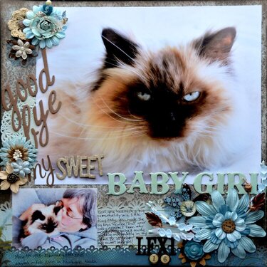 Goodbye my Sweet Baby Girl - Scrapbook Challenges Sketch 431