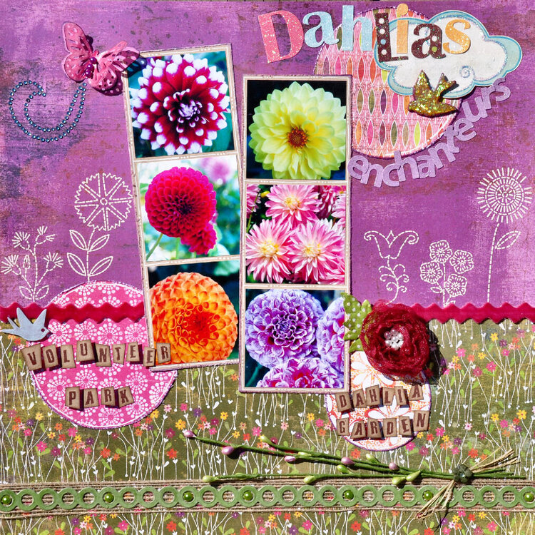 Enchanting Dahlias