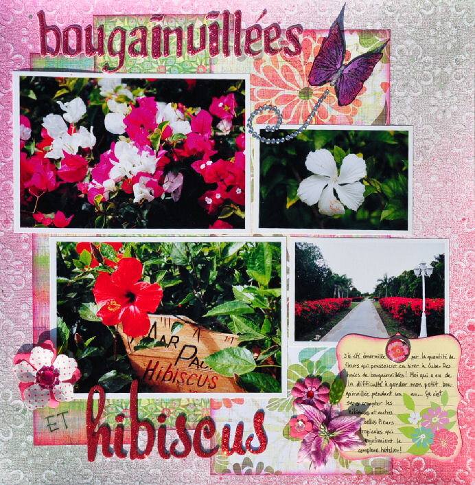 Bougainvillea and Hibiscus