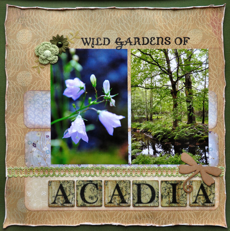 Wild Gardens of Acadia