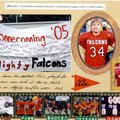 Mighty Falcons