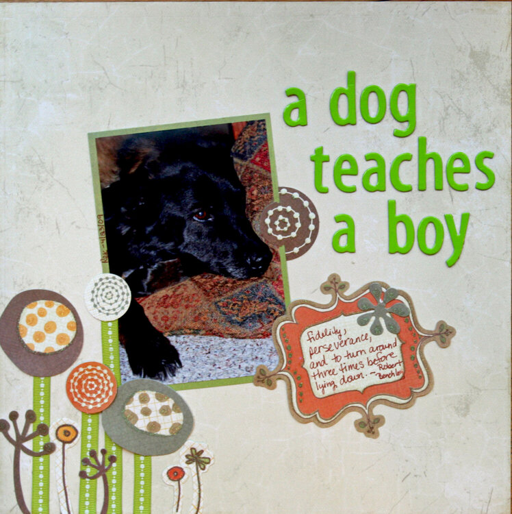 a dog teaches a boy