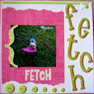 Fetch