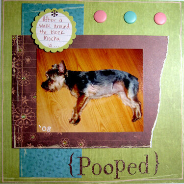 {Pooped}