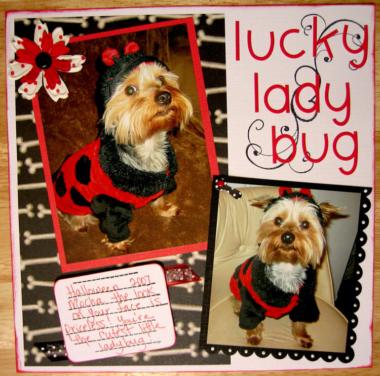 Lucky Lady Bug