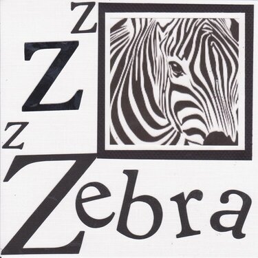 The Letter Z for ZEBRA