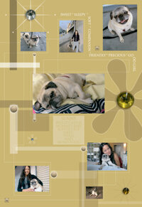 A Scrapbook Page Devoted to Our Dog, Sunny!