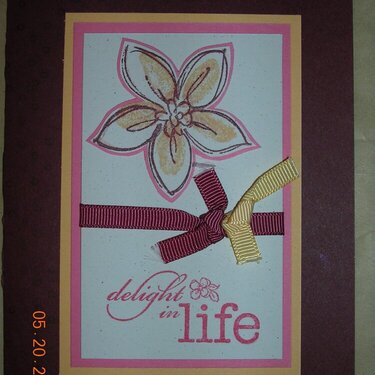 Delight In Life Card