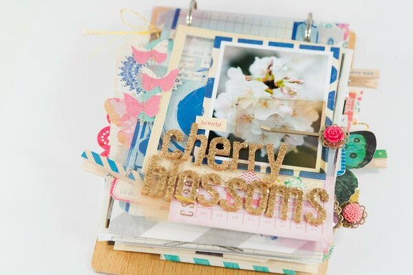 Cherry Blossom Mini Album