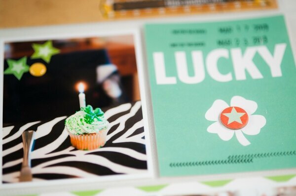 Project Life 2013 : Happy Go Lucky Stamping