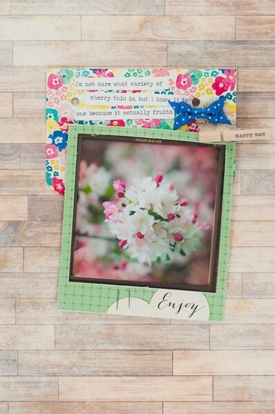Cherry Blossom Mini Album