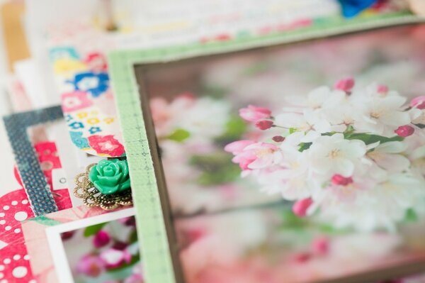 Cherry Blossom Mini Album
