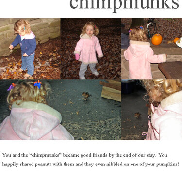Chimpmunks