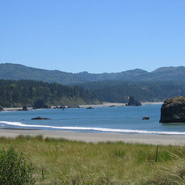 Oregon Coast - June 05