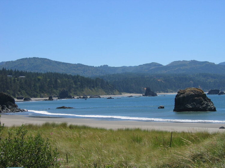 Oregon Coast - June 05