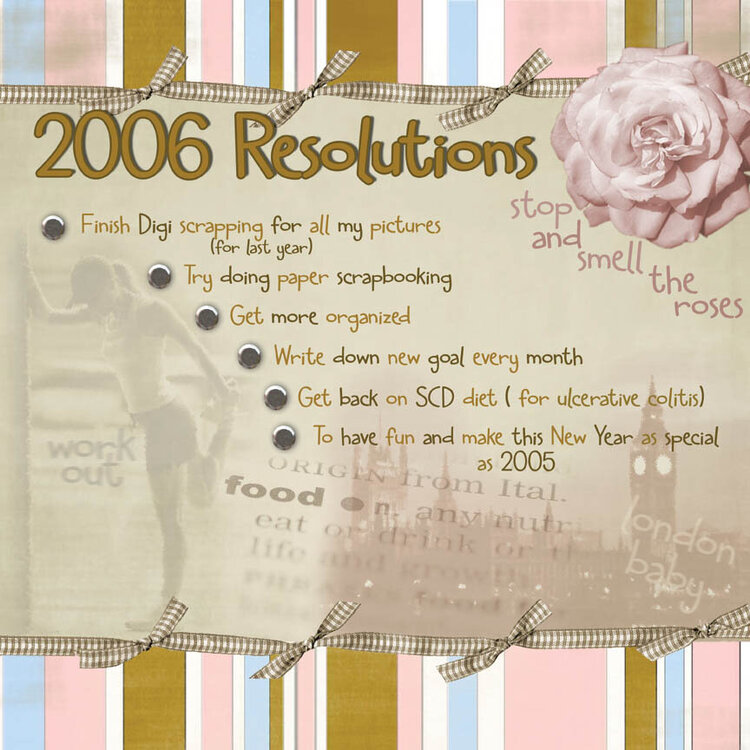 Nikk&#039;s 2006 Resolutions