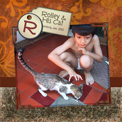 Rolley &amp; His Cat