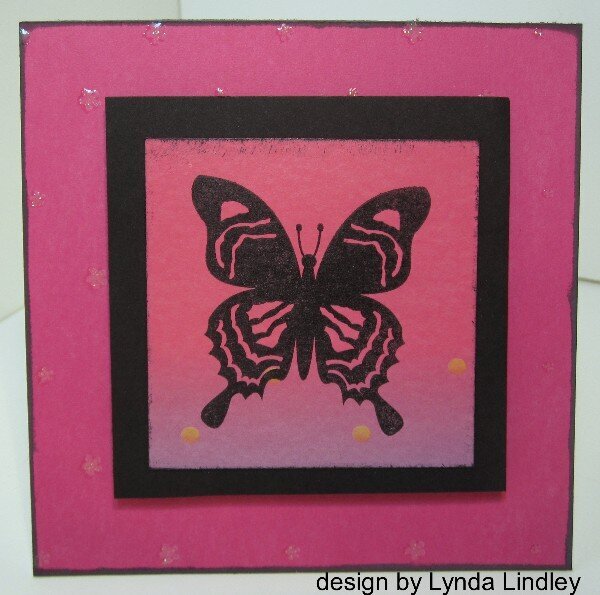 black and pink butterfly by Lynda